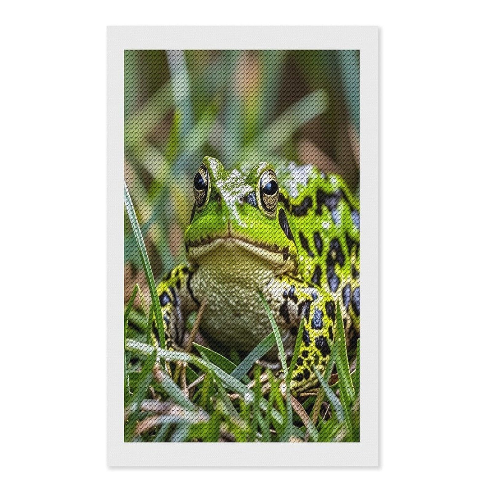 FekiLoot Frog Diamond Painting Kits for Adults Full Round Drill Diamond Art Kits for Beginners 5D DIY Diamond Dots Paintings Diamonds Pictures Gem Art Home Wall Decor 12"x20"