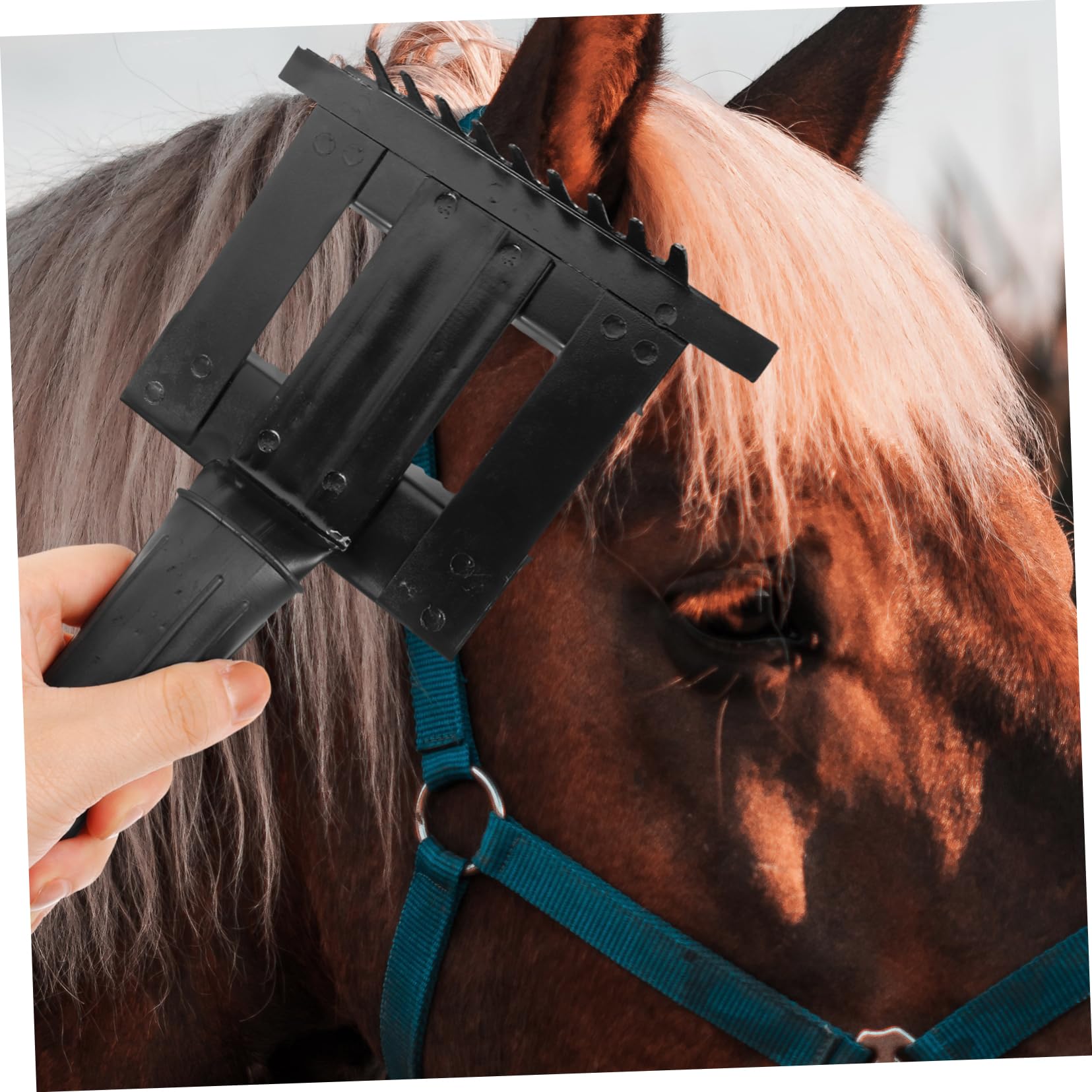 COLLBATH 2stücke Pferdepflege Kamm Rosshaar Ergonomische Grooming-bürste Für Effektive Fellreinigung Und Juckreizlinderung Werkzeug Für Pferde Und Nutztiere