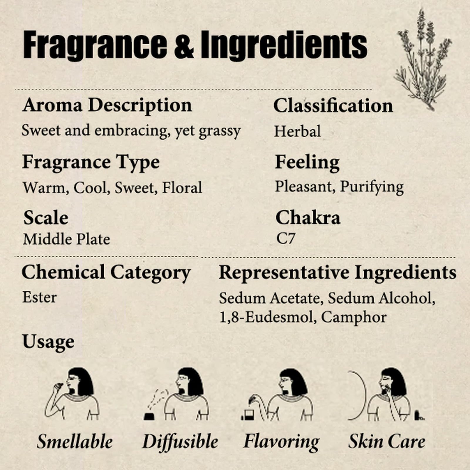 Aceite Esencial de Lavanda orgánico 100% Puro, de Grado terapéutico, para aromaterapia, difusores, Cuidado de la Piel y el Cabello, masajes corporales, jabón, Vela, Perfume, Bricolaje(1000ml)