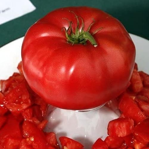 Miniatura 3 de CHUXAY GARDEN Semilla de tomate italiana de árbol 15 semillas de tomate grande de vid de tomate jugoso dulce sabor único regalos de jardinería de