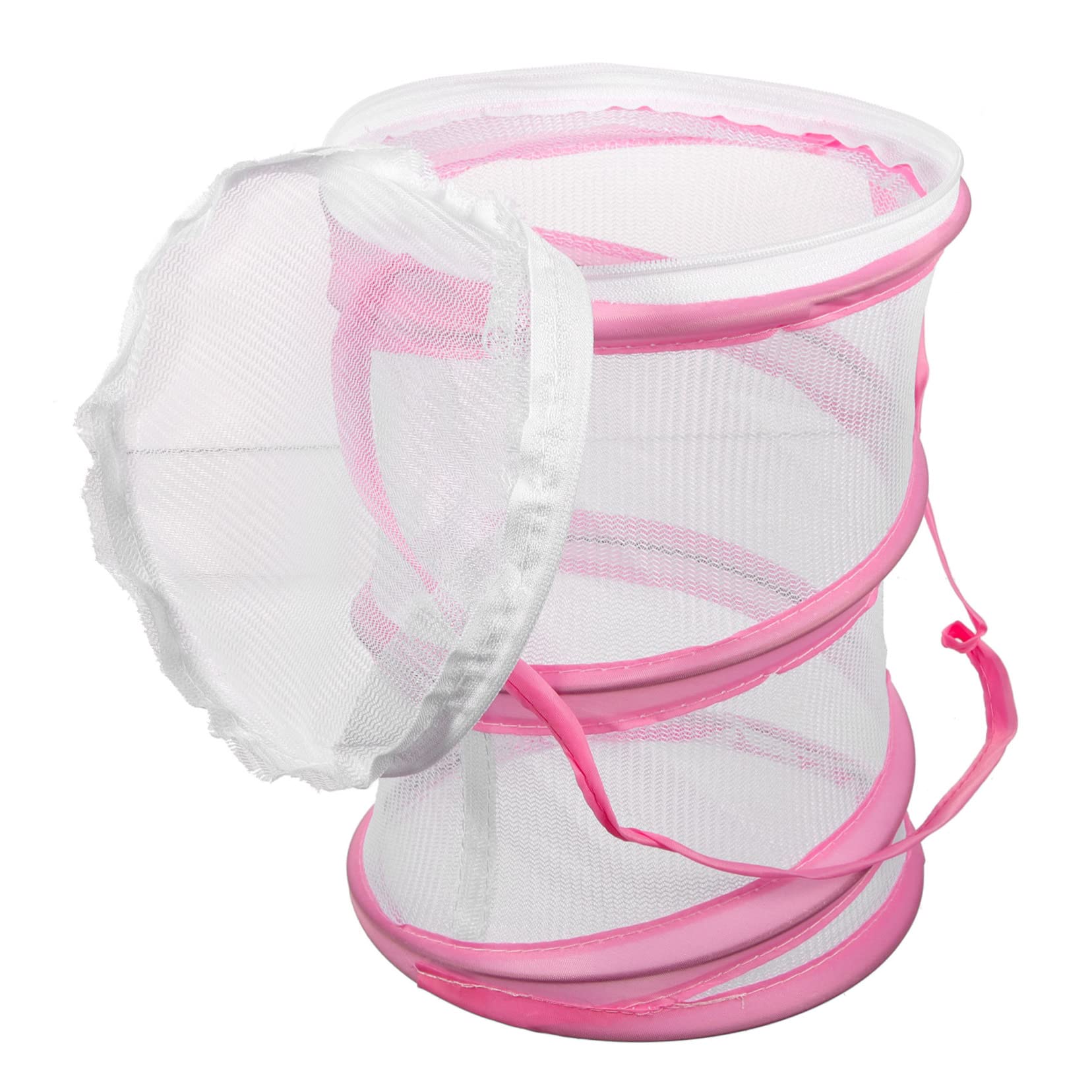 Gabbia Per Farfalle 2 Pezzi | Rete Osservazione Insetti | Casa Per Bruchi E Farfalle | Per Bambini - Foto 12