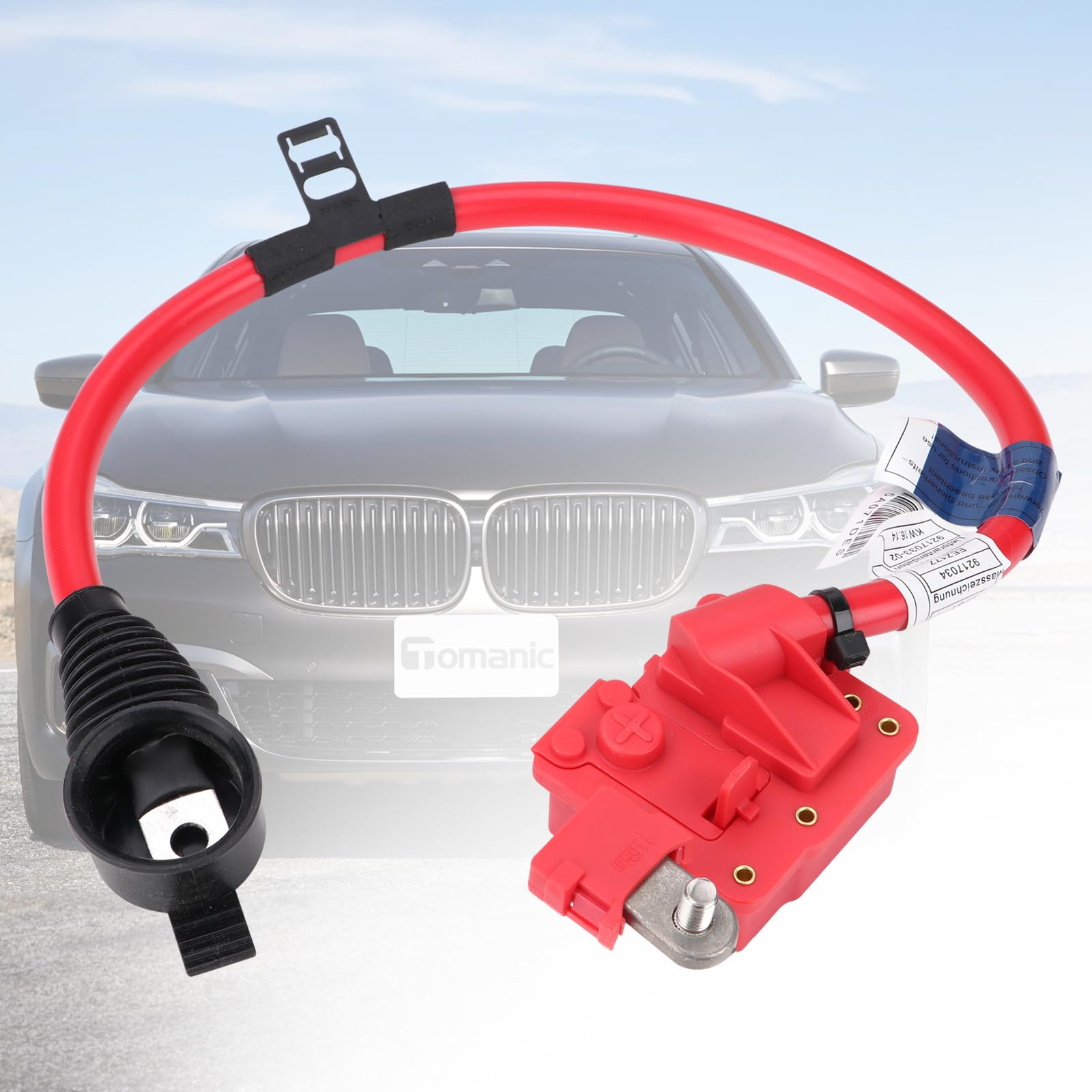 Amazon.com: 61129217033 Battery Positive Terminal Cable (Plus Pole