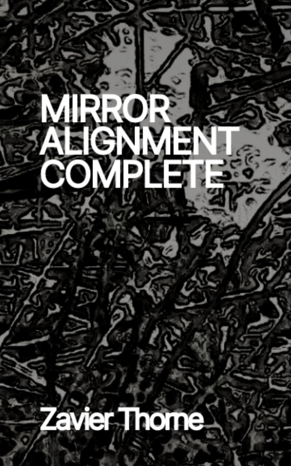Mirror Alignment Complete (Another Day in Paradise Lost Archive.)