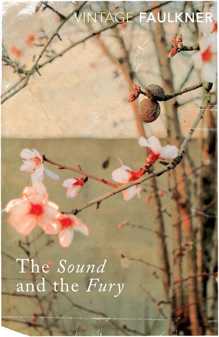 The Sound and the Fury (Vintage Classics)