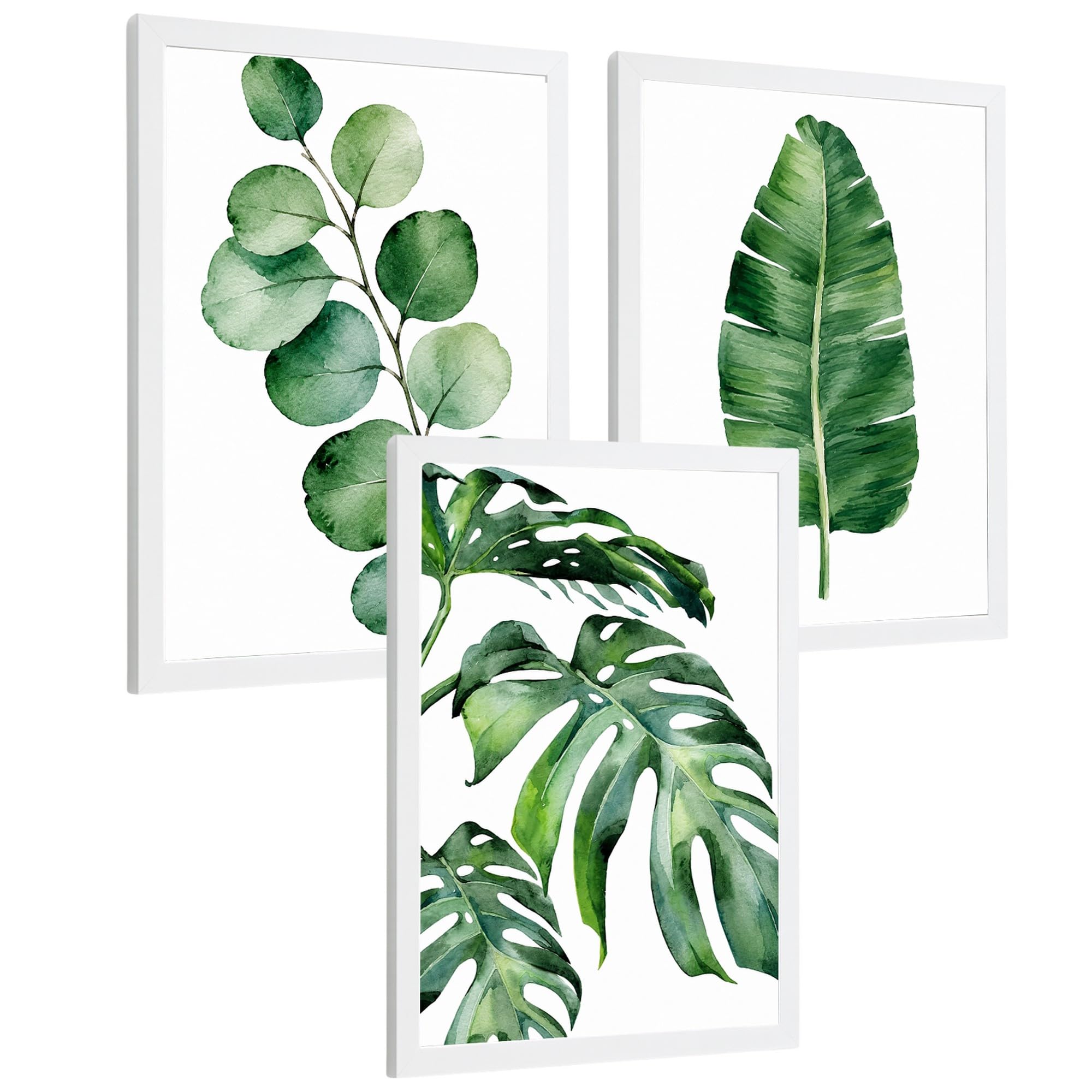 Nacnic Tropical Botanical Posters with Eucalyptus, Banana and Monstera