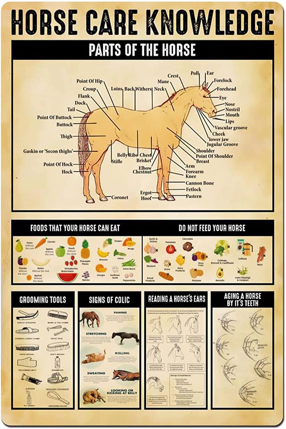 rayprint Horse Care Knowledge Metal Tin Signs Retro Parts Of The Horse Poster Horse Farm Infographic Plaques Herders Farmhouse Home Wall Decor 12x16 Inches