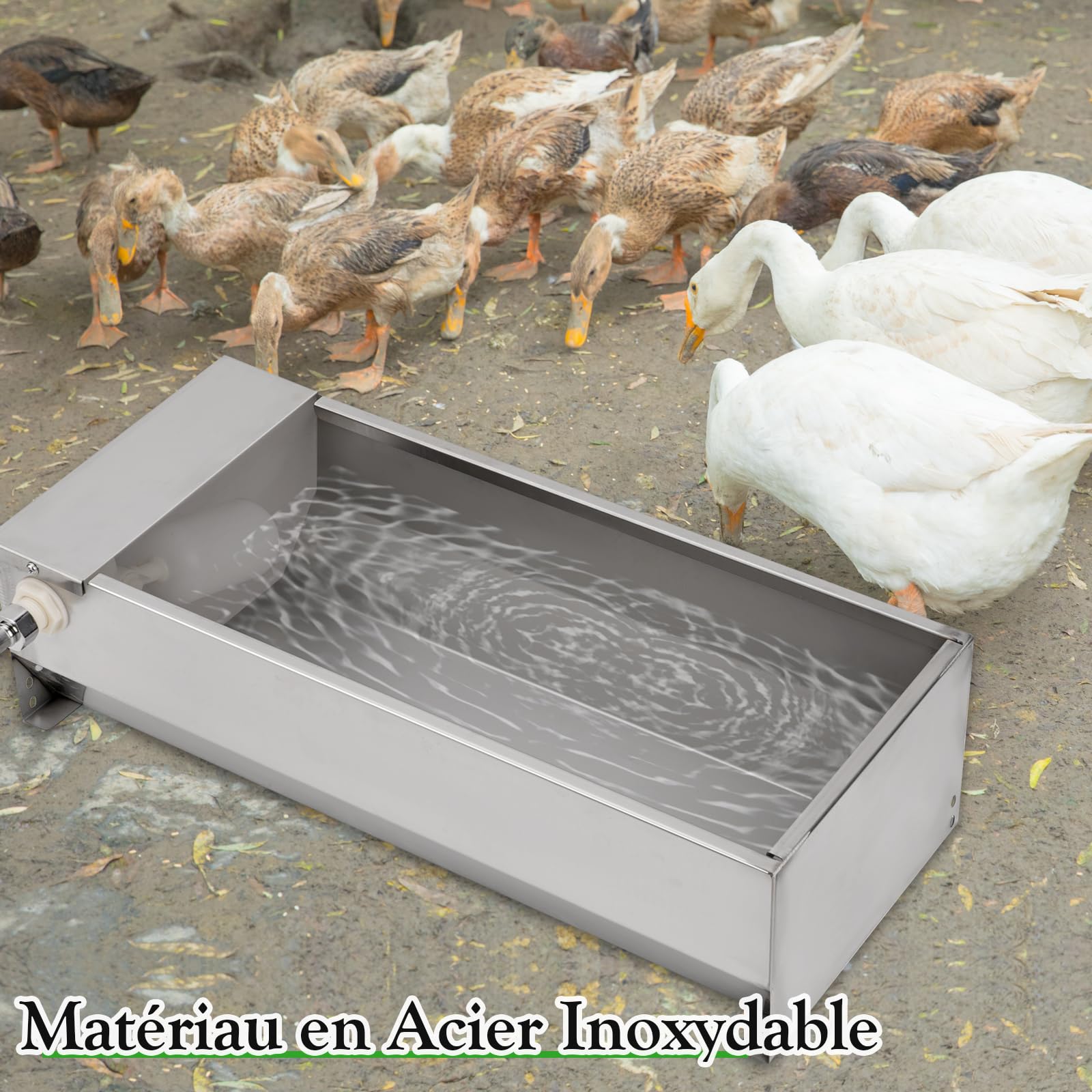 Abreuvoir Automatique Pour BéTail Avec Robinet à Flotteur de 1/2 Pouce Pour Chevaux, ChèVre, Bovins, Chevaux, Moutons, Chiens et Kits D'Abreuvement Pour Volailles