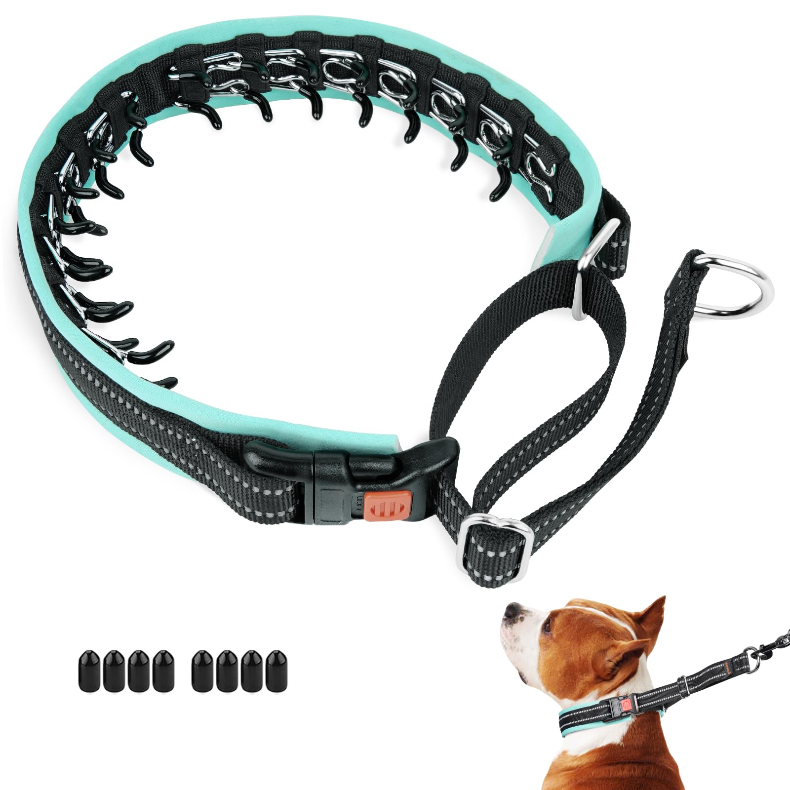 Photo 1 of Mayerzon Martingale No Pull Collar for Medium Large Dogs | Teal Trim, M