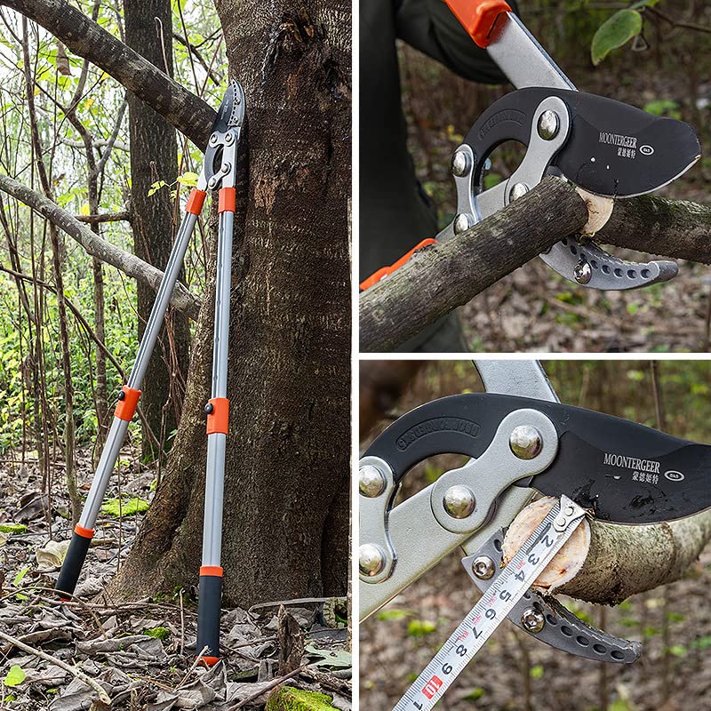 Image of SK Organic Professional Ratchet Anvil Lopper with Compound Action, Sturdy Telescopic Handles with Extra Leverage, Garden Pruning Tree Hedge Branch Cutter Garden Lopper (Rachet Looper)