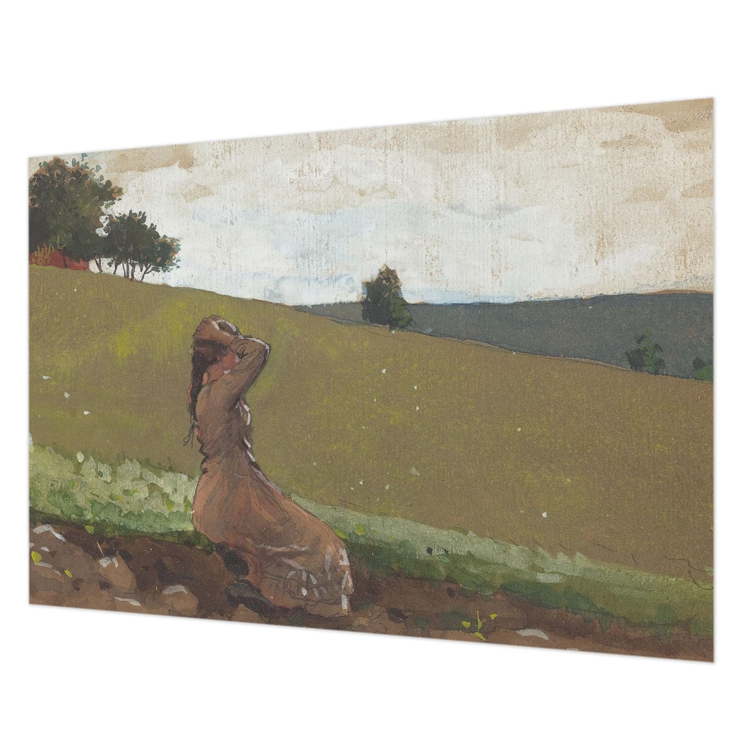 Tapisserie intissée 312x219 cm impression haute qualité pour grand mur nu