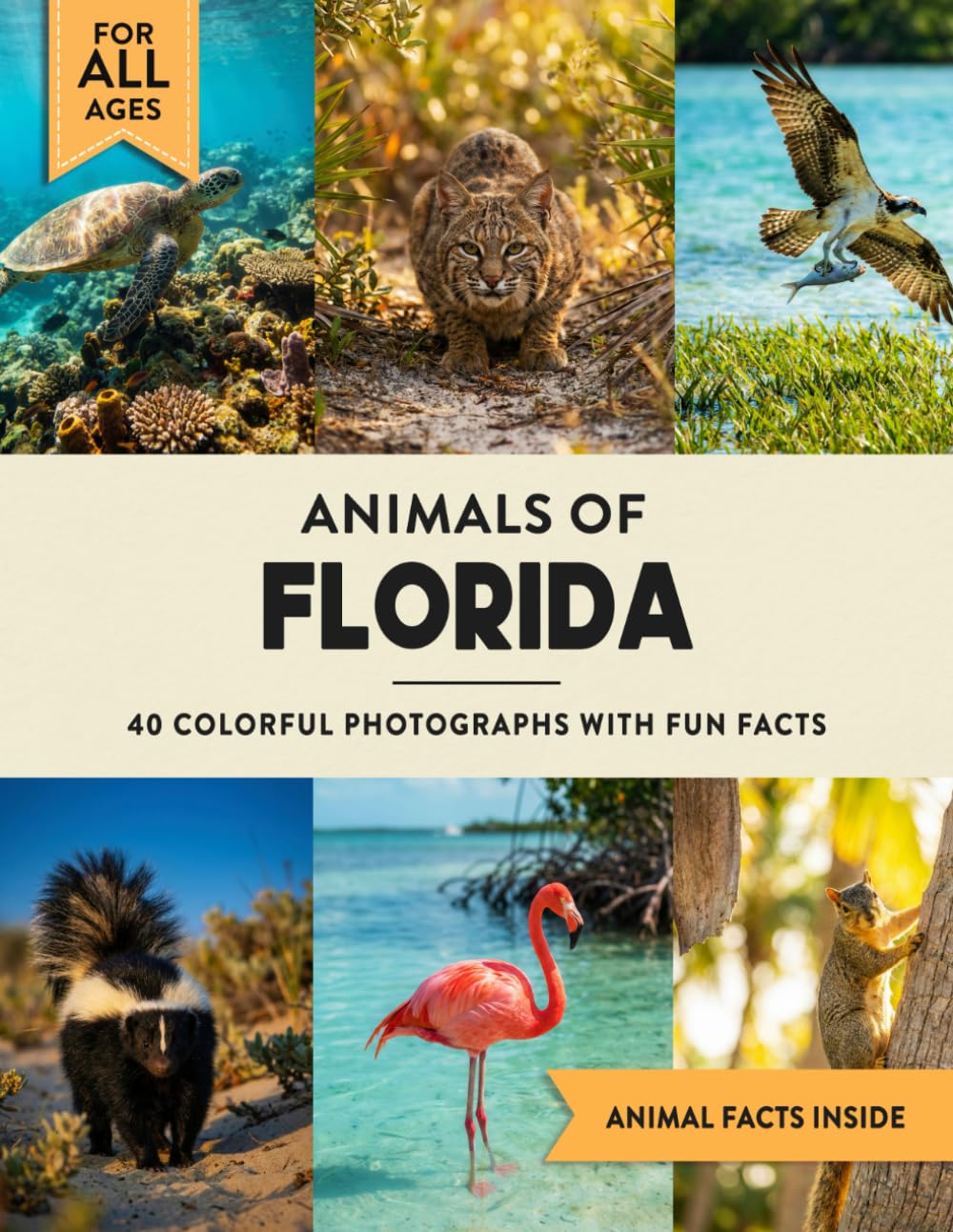 Animals of Florida: Learn All About Sunshine State Wildlife in a Fun Fact Picture Book for Kids and Adults