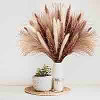 Fluffy　パンパスグラス Pampas Grass(パンパスグラス) 110cm 12本セットの通販情報