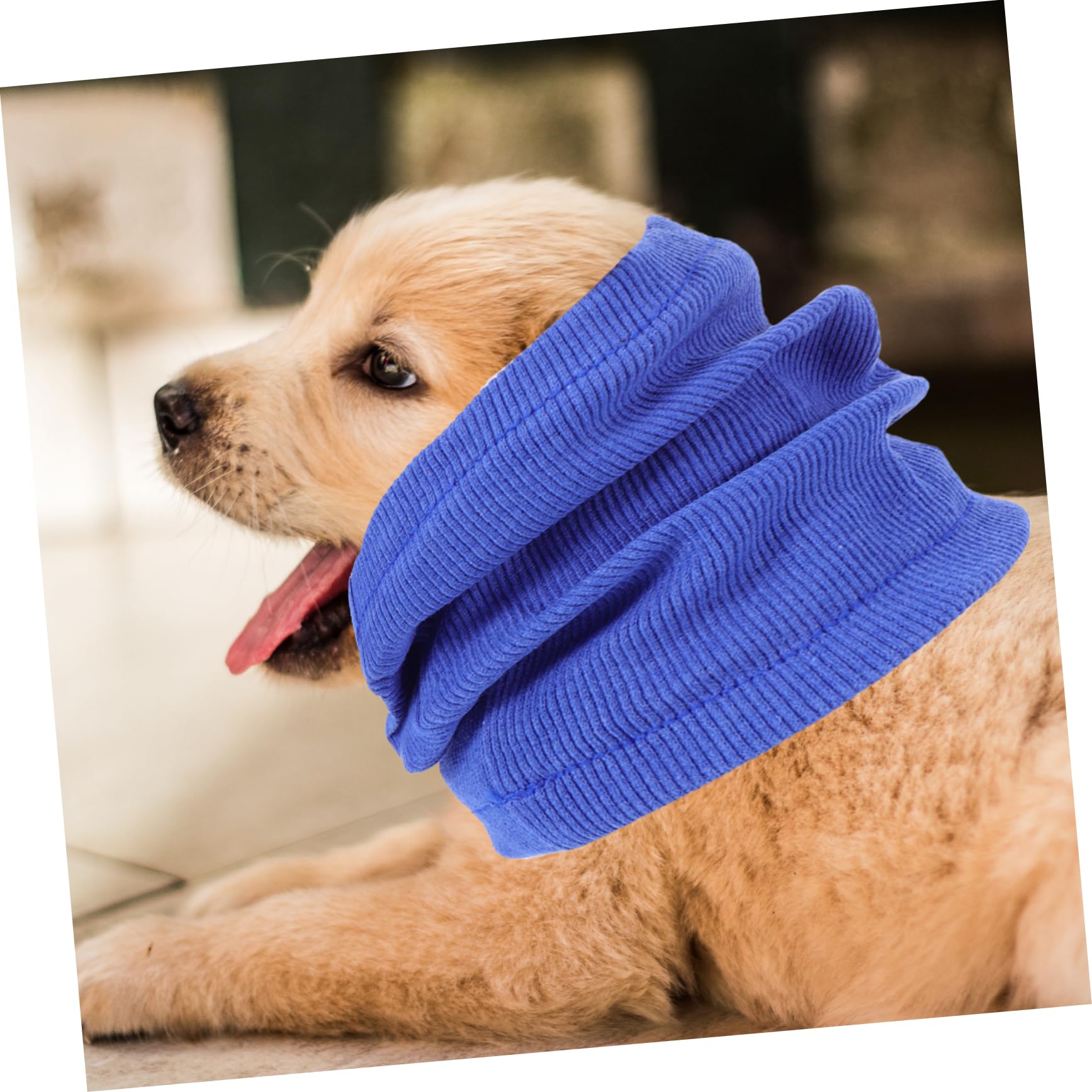 5piezas Earmuffs para Perros Protección y Térmica para Mascotas Cubierta De Oído para Baño y Ruido Diseño y Cómodo Mediano
