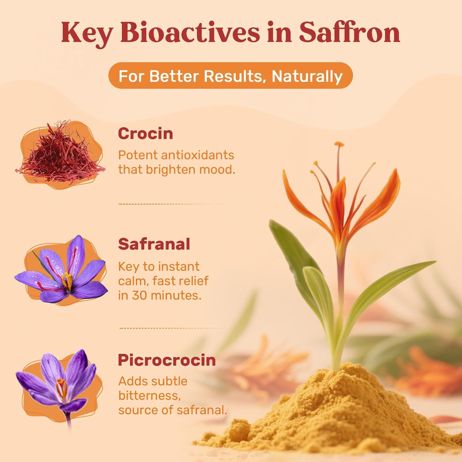 Saffron Supplements - Full Spectrum Saffron with Magnesium, Ashwagandha, Rhodiola, St. John's Wort, L-Theanine, Lemon Balm, Valerian & Chamomile - Mood, Sleep, Relax & Focus, 90 Tablets - Image 3