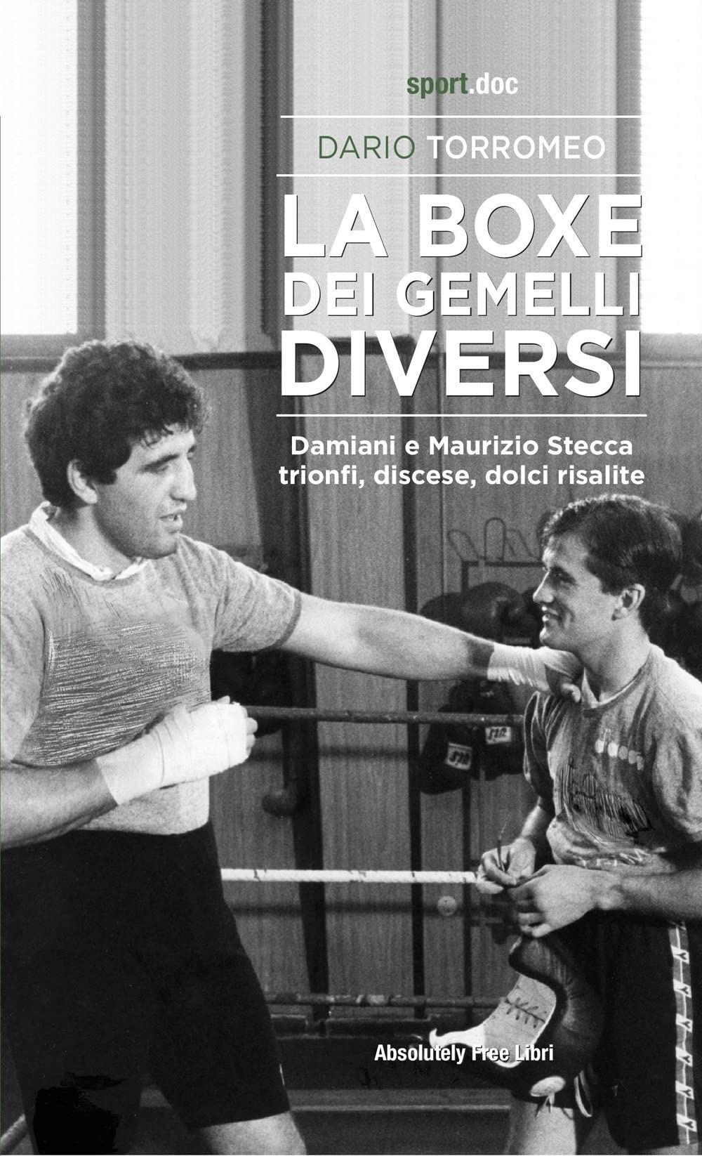 La Boxe Dei Gemelli Diversi. Damiani E Maurizio Stecca: Trionfi, Discese, Dolci Risalite - 4
