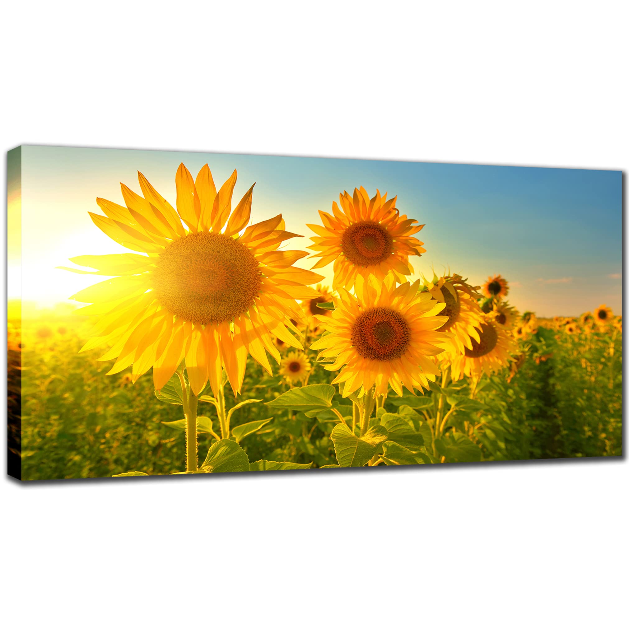 Sunflower Picture Canvas Wall Art   