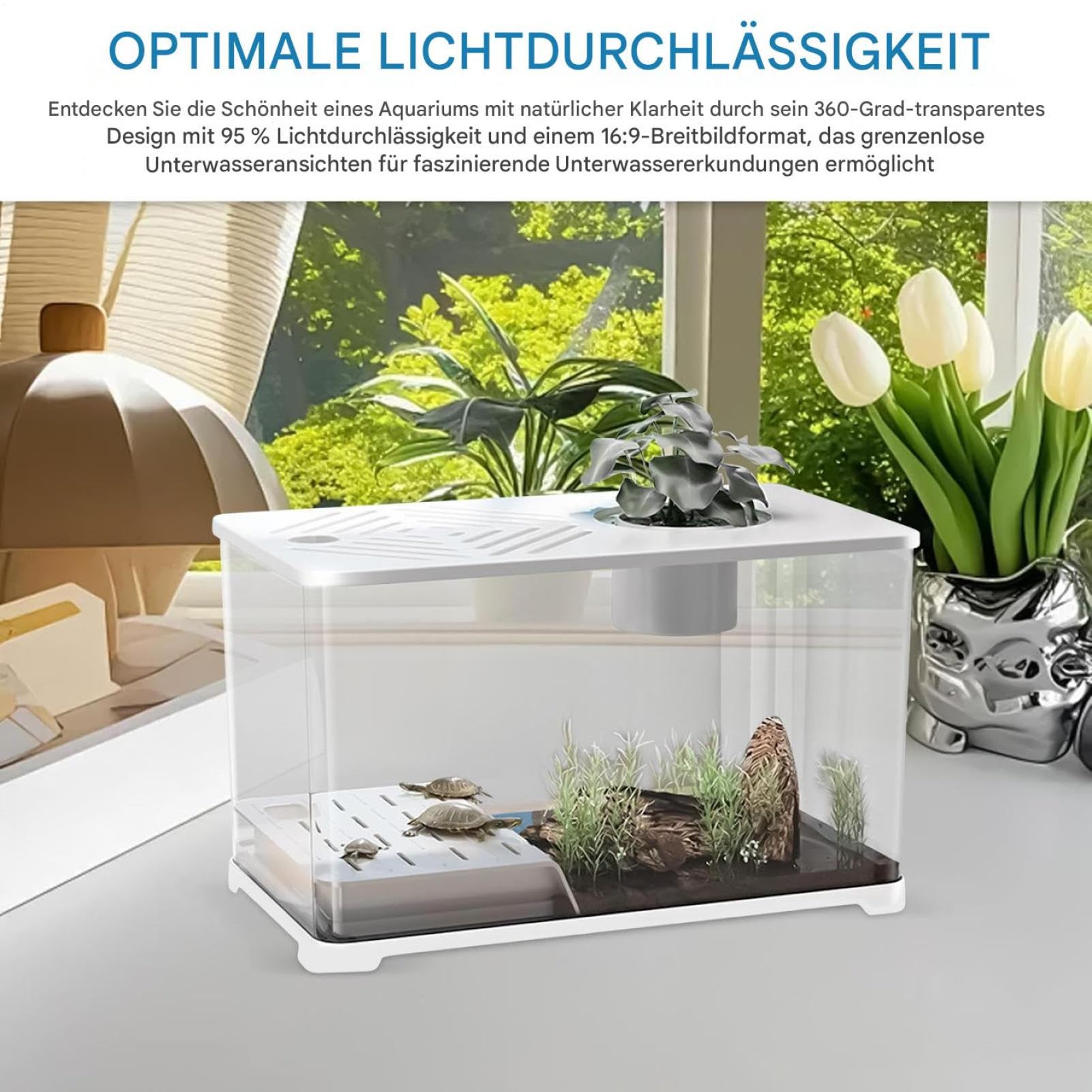 Aquarium Becken Großes Aquarium Goldfisch Starterset