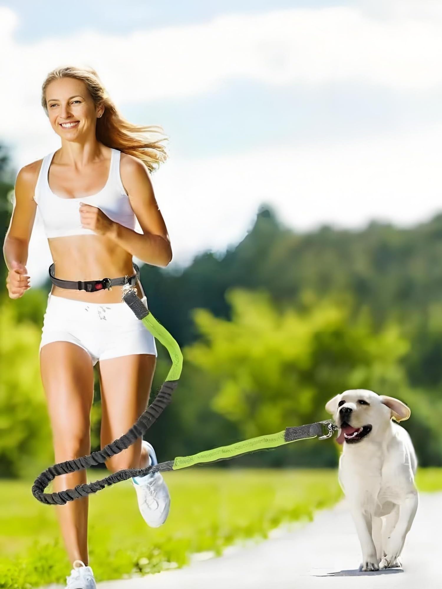 Hands Free Dog Leash for Running Waist Leash for Dog Walking, Double Handle Bungee Leash with Reflective Stitching and Adjustable Dog Walking Belt, Black/Sky Blue - image 3