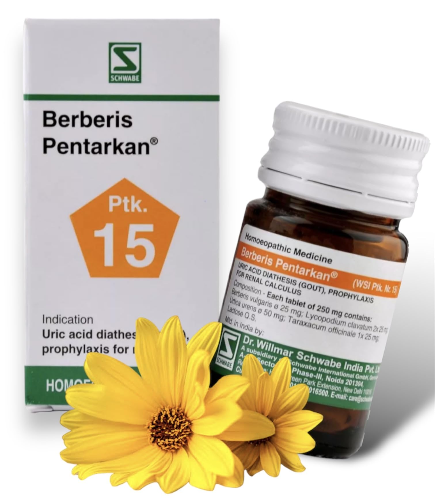 Willmar Schwabe Berberis Pentarkan Ptk 15 Tablet 20g- Set of 1 Bottle (B0CT9VZ53B) Amazon Price History, Amazon Price Tracker