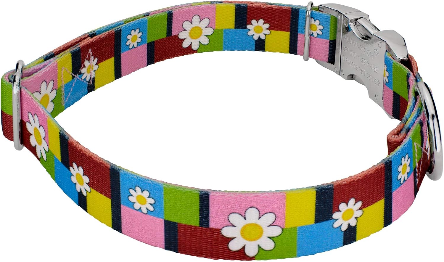 Country Brook Petz - Premium Spring Daisies Dog Collar and Leash - Floral Collection Featuring Charming Designs (1 Inch, Medium)