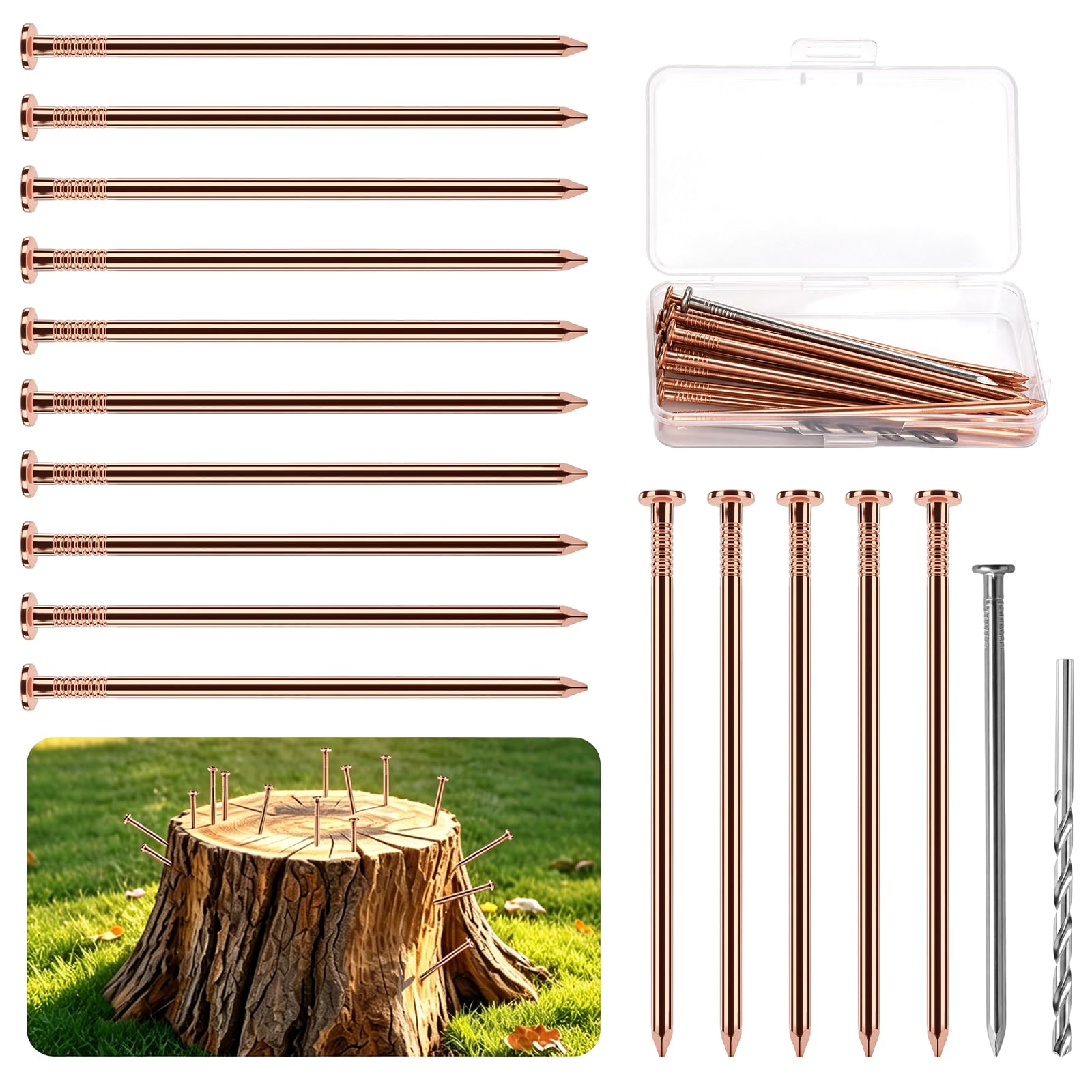 Hainue Copper Nails To Kill Tree Stump,15 x Very Large 100 mm Solid Copper Clout Nails with Steel Nail and Dril for Tree Killing,Storage Box Included