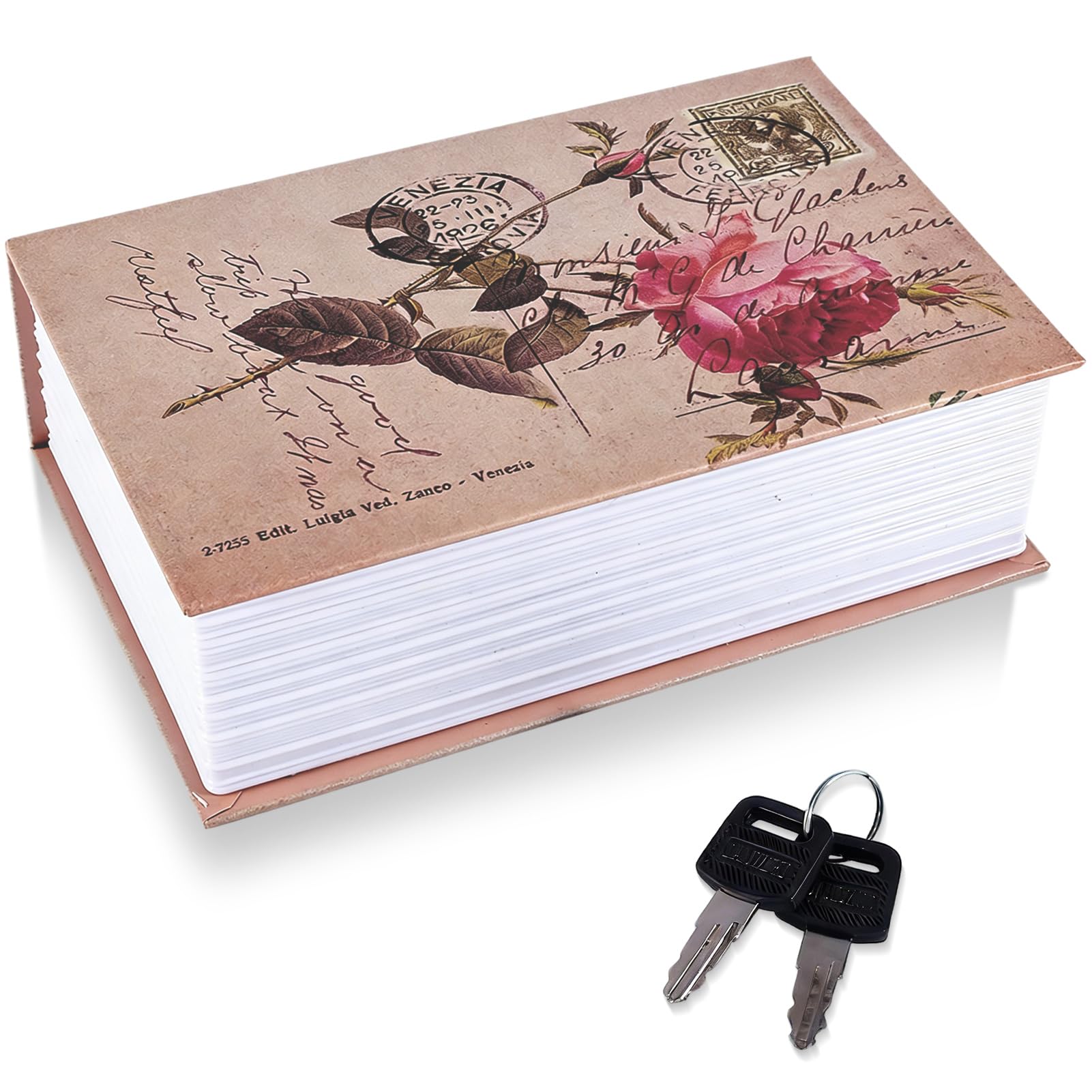 Livre de détournement coffre-fort caché secret portable boîte à clé métal