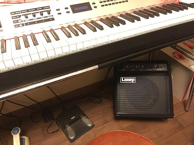 Amazon.co.jp: Laney (レイニー) キーボードアンプ 3チャンネル 5