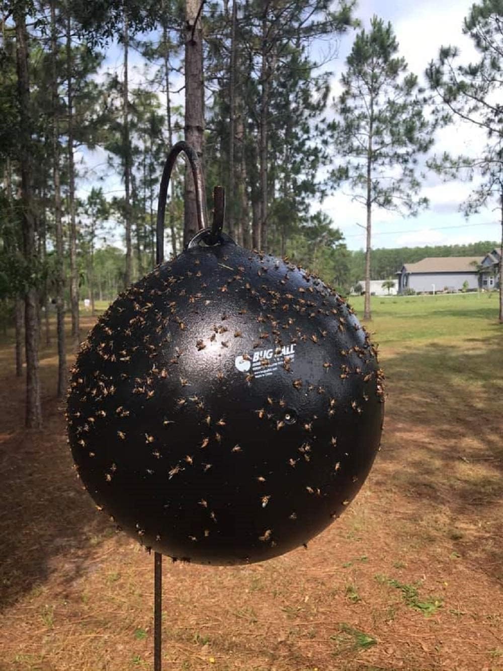 Bug Ball 2 Pack Starter Kit Complete- Odorless Eco-Friendly Biting Fly and Insect Killer with NO Pesticides or Electricity Needed, Kid and Pet Safe
