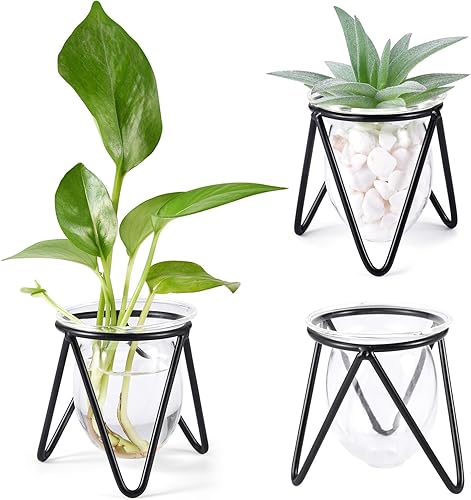 Jspupifip 3 piezas de terrario de cristal para plantas con soporte de metal, soportes para plantas de aire, jarrones hidropónicos para plantas de