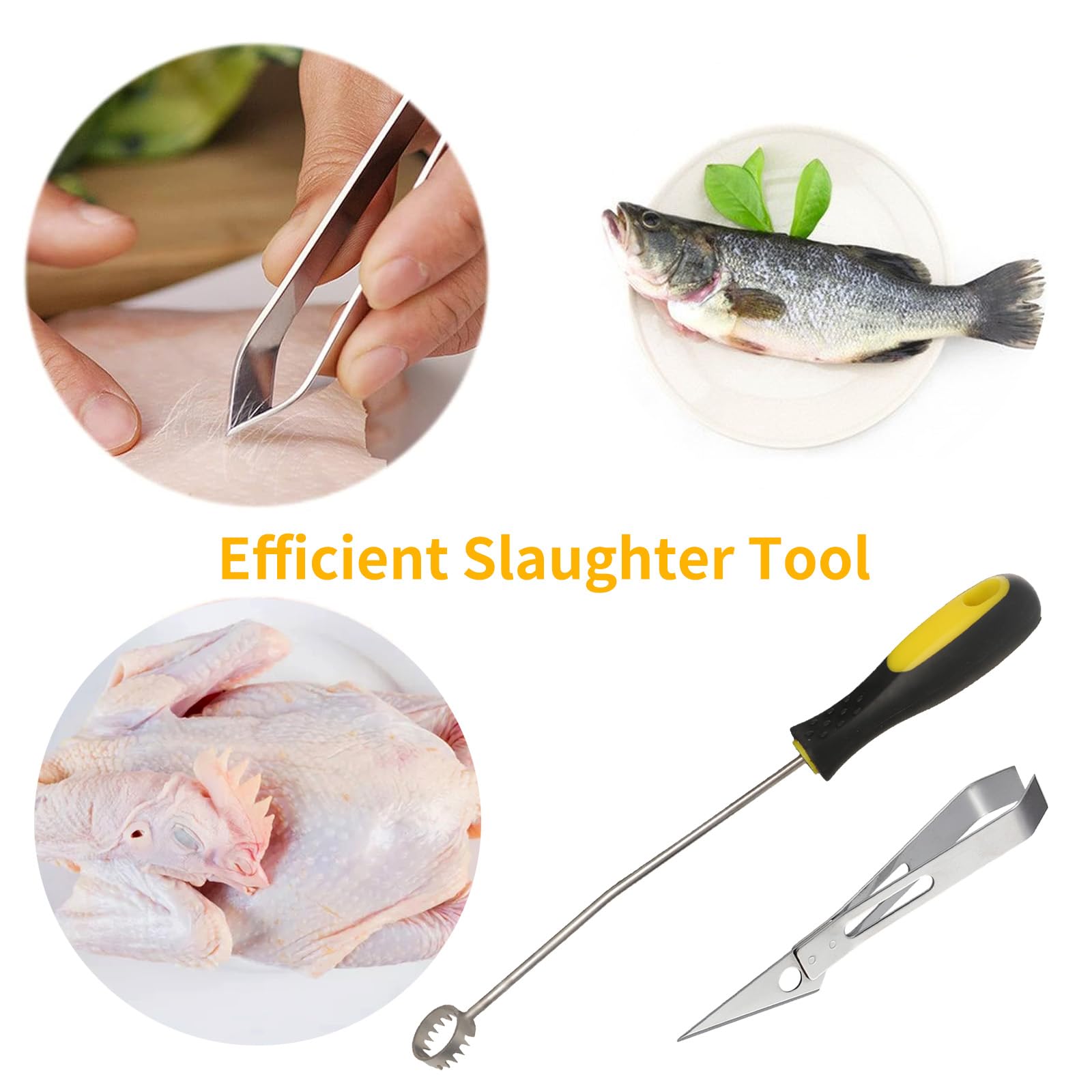 Stainless Steel Lung Remover Kitchen Meat Hair Remover Tool, Efficient  Chicken Slaughter Tool, Suitable for Poultry Slaughter and Fish  Deboning，Easy