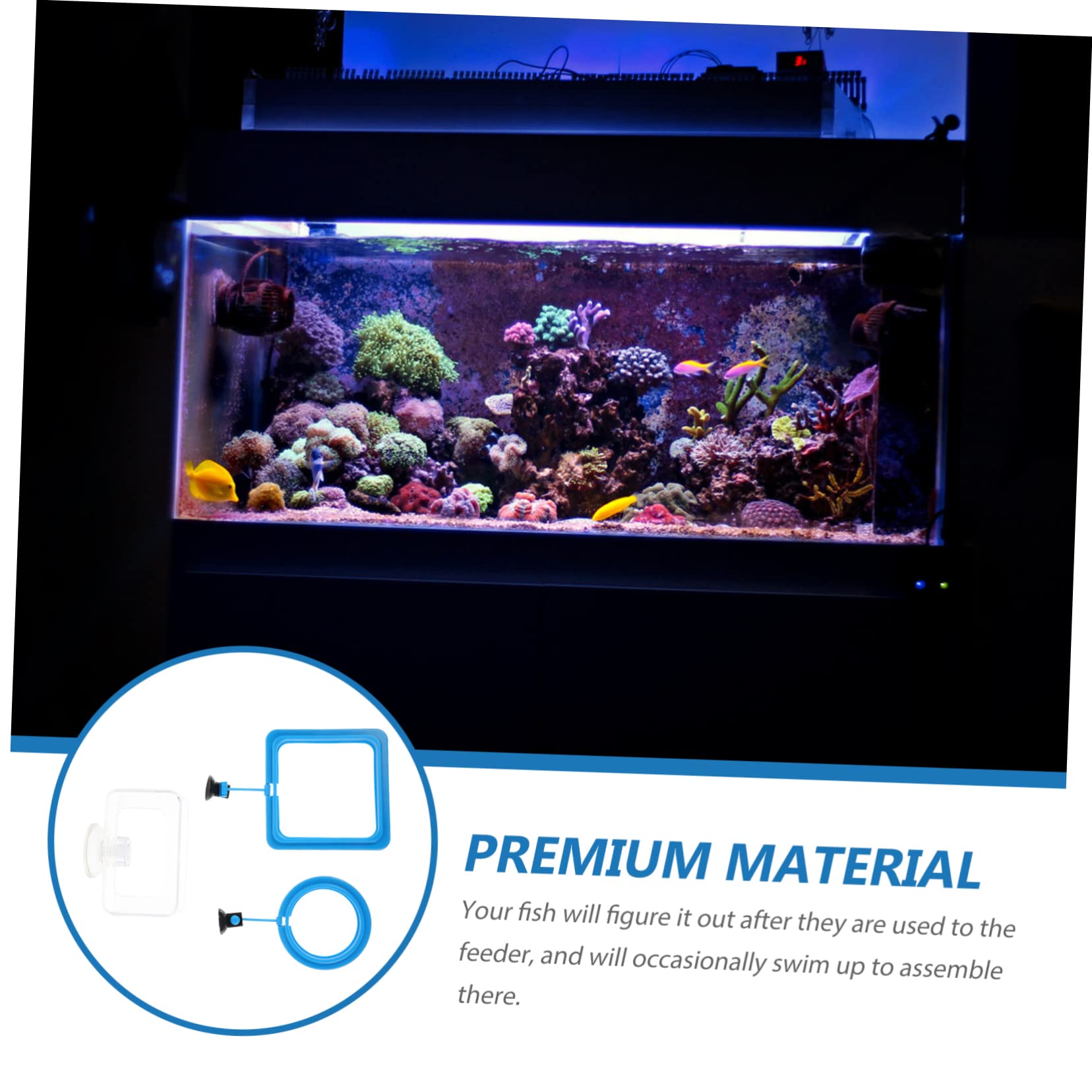 Toddmomy 12piezas Anillo De Alimentación para Peces Ventosa De Diferentes Formas para Acuarios Alimentación Controlada y Reducción De Desperdicio De Comida
