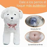Ver la foto 3