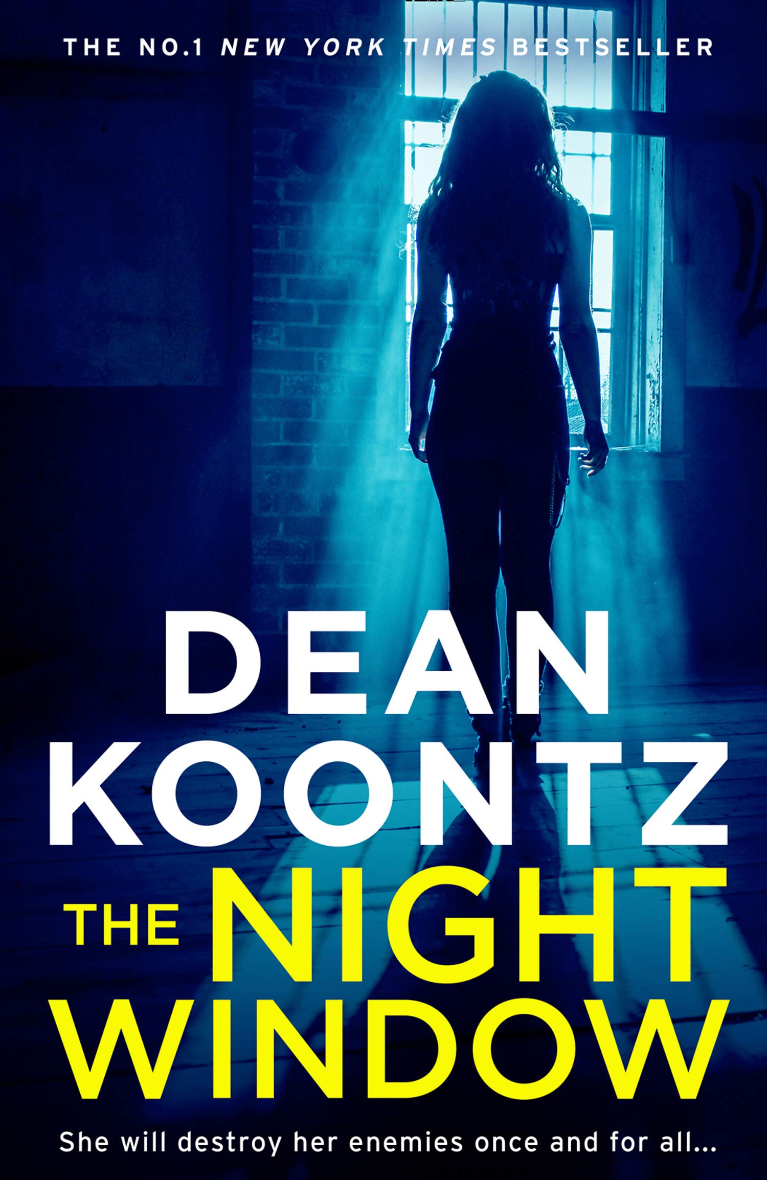 The Night Window: The new extraordinary suspense thriller in 2019 from the international New York Times bestselling author of The Eyes of Darkness: Book 5 (Jane Hawk Thriller)