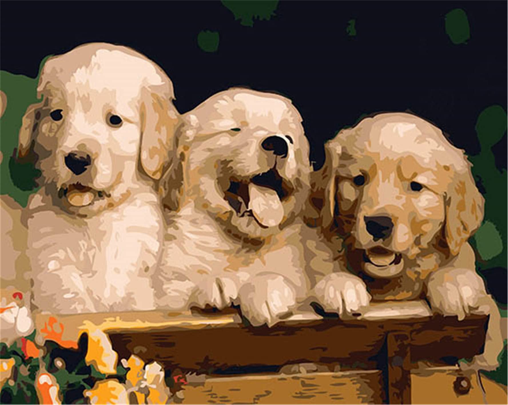 CaptainCrafts Paint by Number DIY Oil Painting Paint by Numbers Kits for Adults Beginner Canvas Acrylic Arts Craft for Home Wall Decor Drawing 16x20 Inch (Frameless, Cute Three Brothers Dog) — image 1