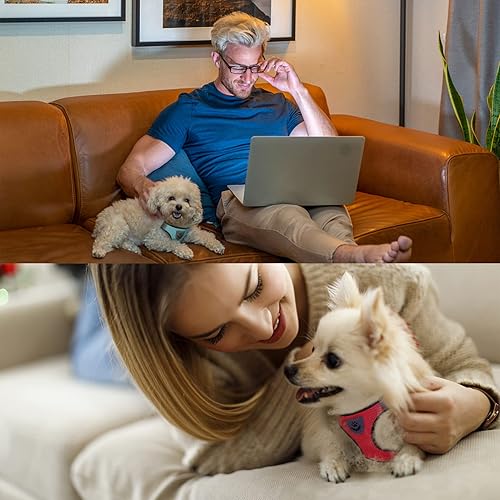 Miniatura 5 de VVABELLI - Juego de 4 piezas de arnés y correa para perro, arnés ajustable con malla suave transpirable y hebilla de liberación rápida, arnés para