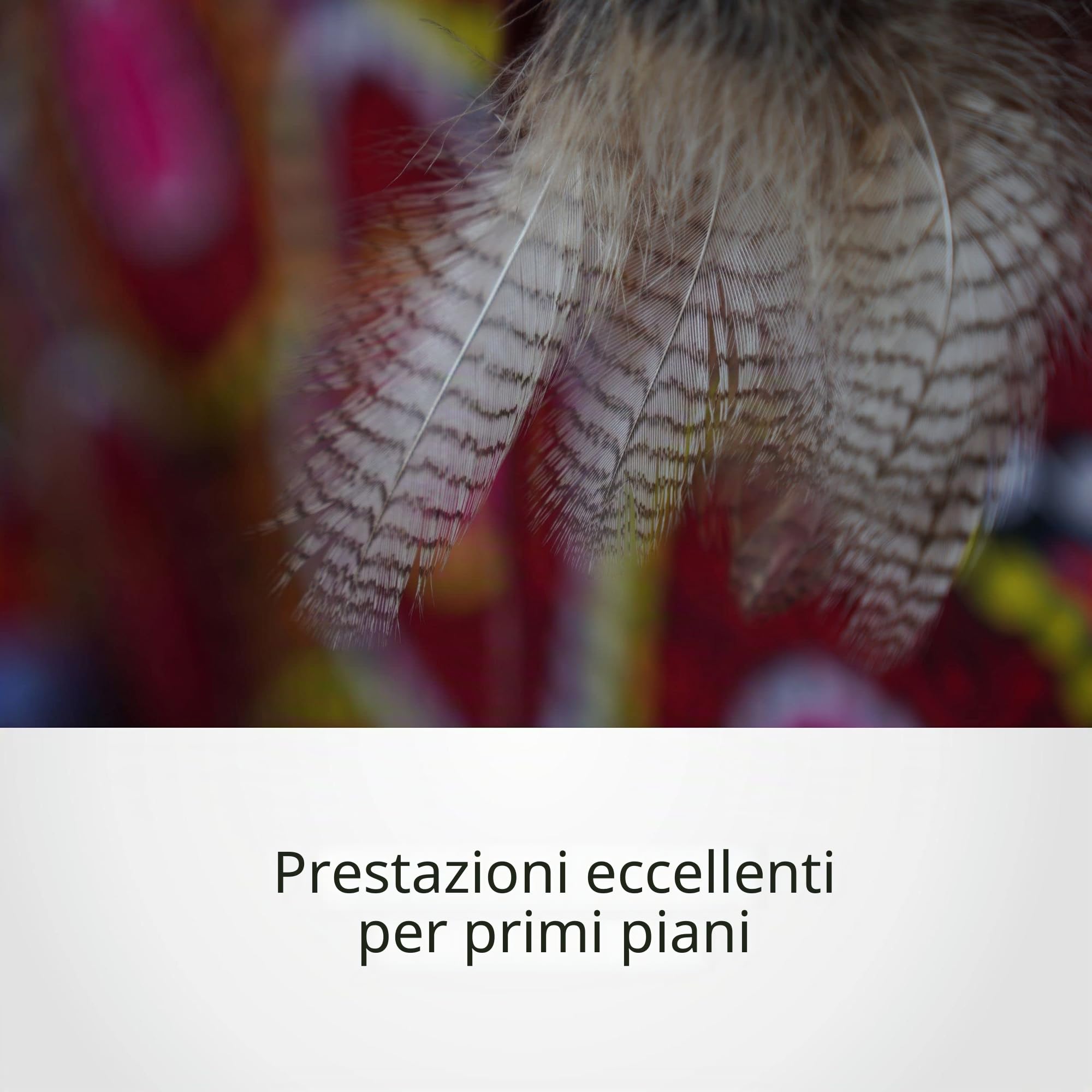 Sony SEL1655G – Obiettivo zoom standard 16–55 mm F2.8 G per APS-C (diaframma costante, luminoso, attacco E-Mount, ideale per l'uso quotidiano, reportage e video, compatibile con ZV-E10, A6400, A6700)