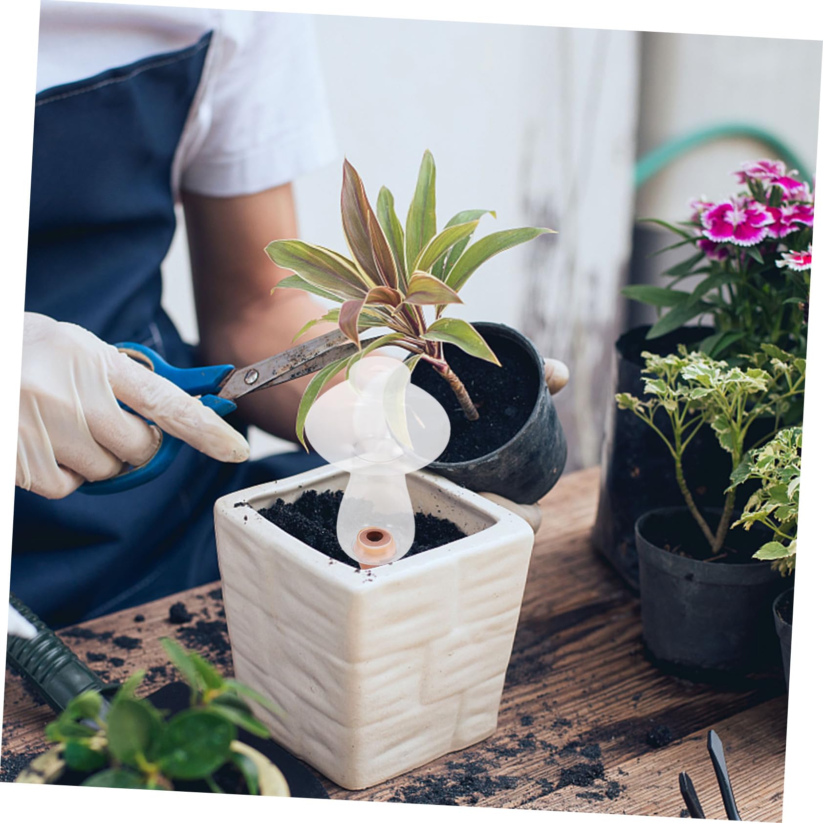 BESTonZON 4 Ensembles Arrosage Automatique des Plantes D'Intérieur Dispositif D'Arrosage Automatique pour Plantes D'Intérieur 2 pièces * 4