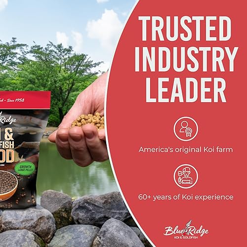 Miniatura 7 de Blue Ridge Fish Food Pellets 5 libras, fórmula de crecimiento Koi y Goldfish, pellet flotante de 316 pulgadas, dieta equilibrada