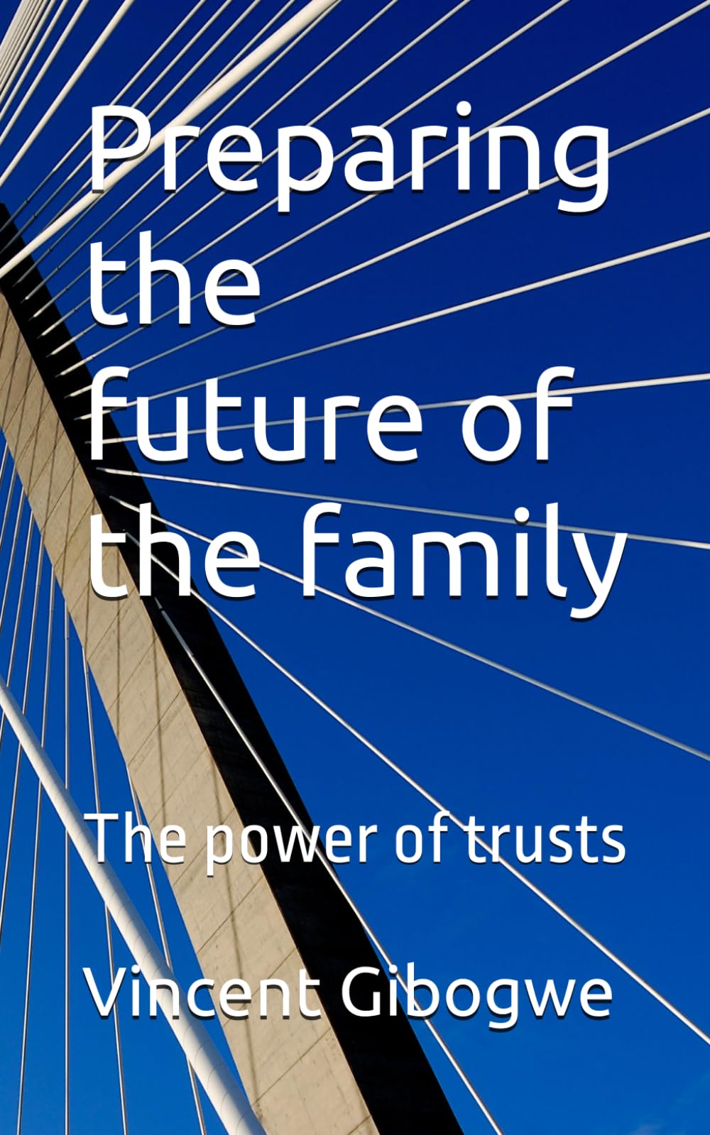 Preparing the future of the family: The power of trusts