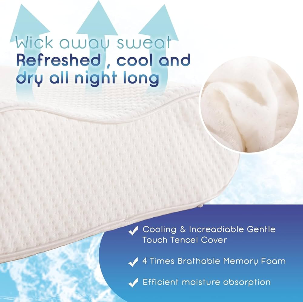 Amazon.com: Sinomax Contour 記憶泡棉頸部和頸椎枕頭- 金色鑽石