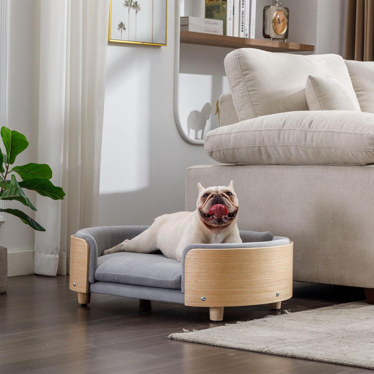 Elevated Dog Bed Pet Sofa with Solid Wood Legs and Bent Soft Backrest, Pet Cat Stool Bed with Velvet Cushion,for Small and Medium Size Dogs Kitten, Mid Size