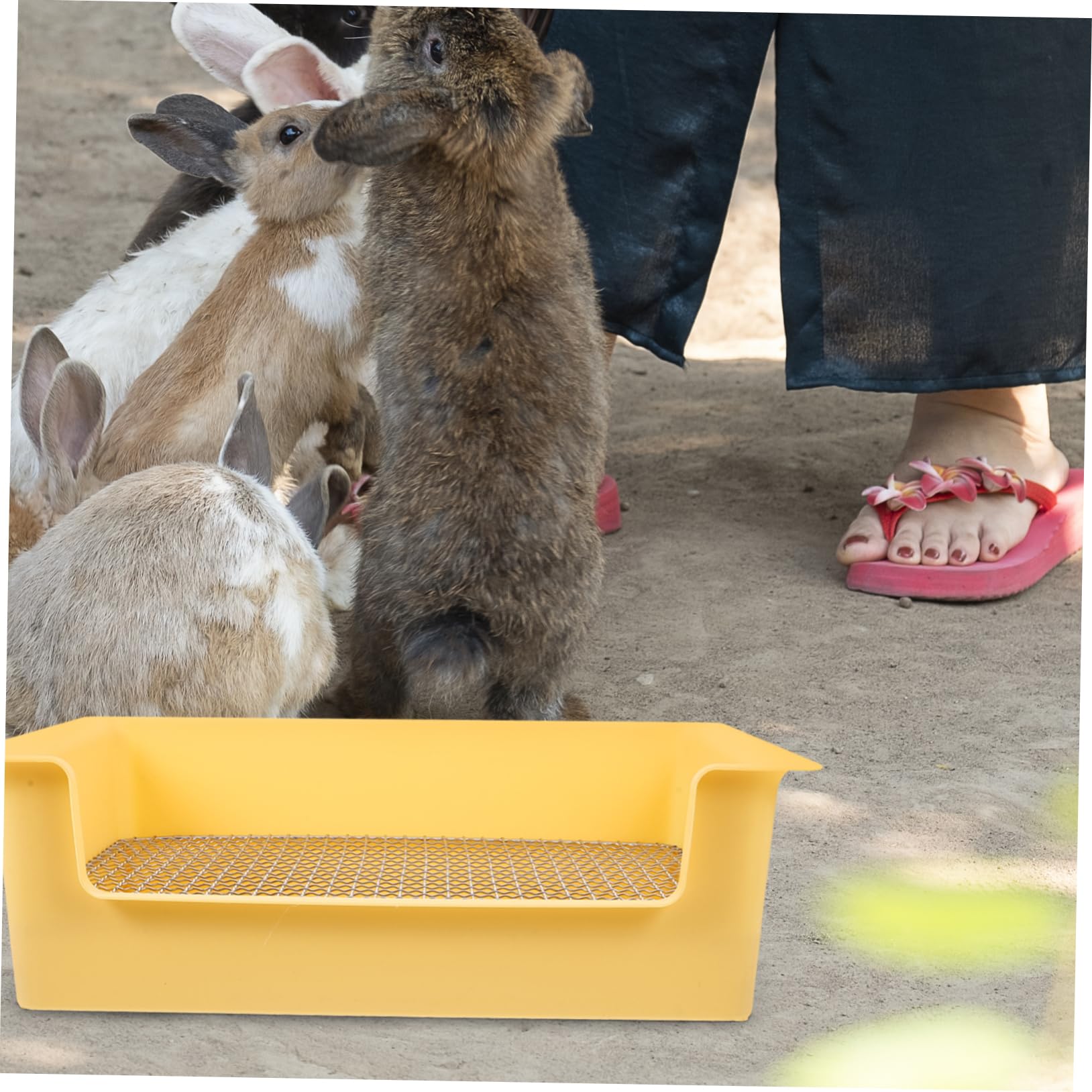 Abaodam Lettiera Per Conigli e Piccoli Animali Vasino Per Criceti Porcellini D'india e Cincillà in Pp Toilette Riutilizzabile Per Addestramento Accessorio Per Gabbie e Casa Design Pratico e Resistente