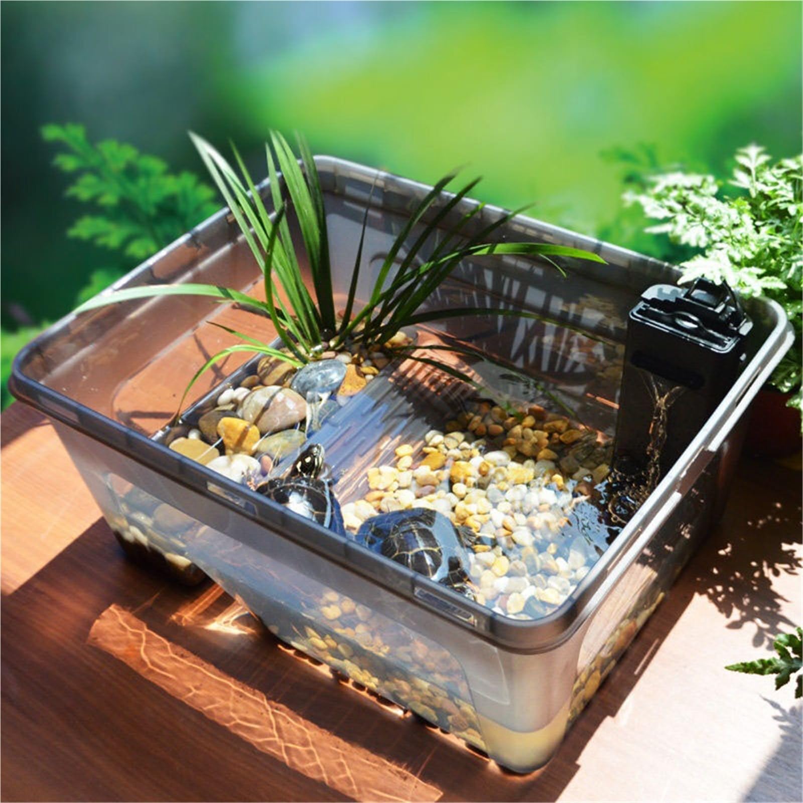 Siedlisko terrarium Zbiornik do hodowli żółwi ekologicznych małych amfibii domowych Terrarium akwariowe(Średni)