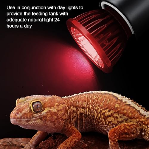 Miniatura 4 de Fockety Bombilla de lámpara de calor para reptiles, simulación infrarroja de 2 W, iluminación de luz solar de tortuga, bombilla de luz diurna para