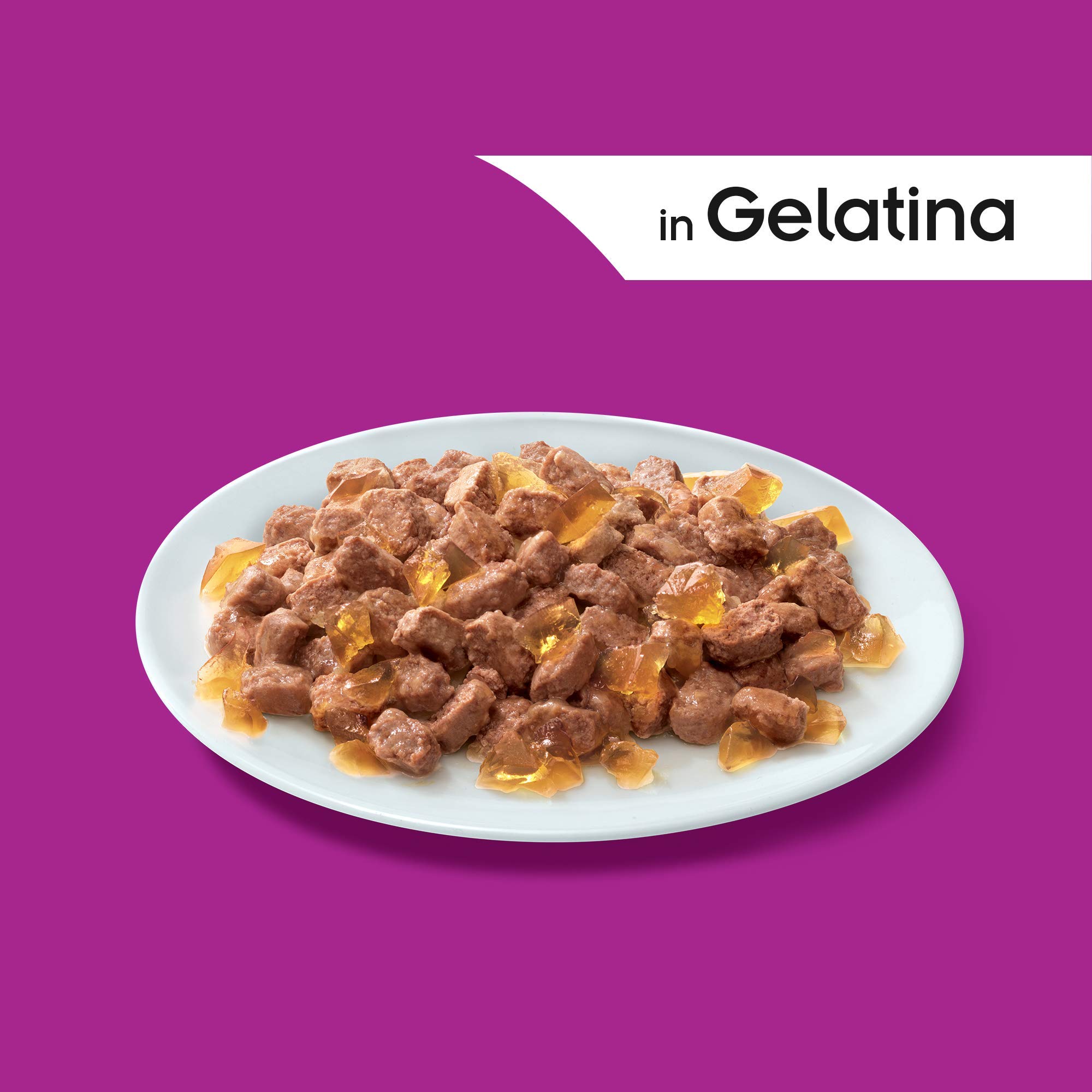 Whiskas Pure Delight in Gelatina Selezione Gustosa, 1+ Anni, 4 x 85 g, Cibo per Gatto, 13 Confezioni (52 Pezzi in Totale)