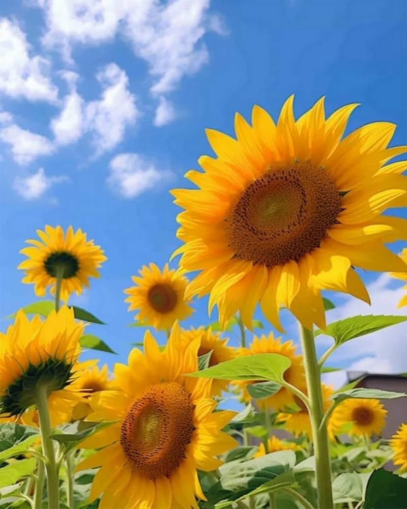 絵画 花絵 コーティング加工 G170 原画 抽象画 光 煌めき キラキラ 花 ピンク おしゃれ モダン