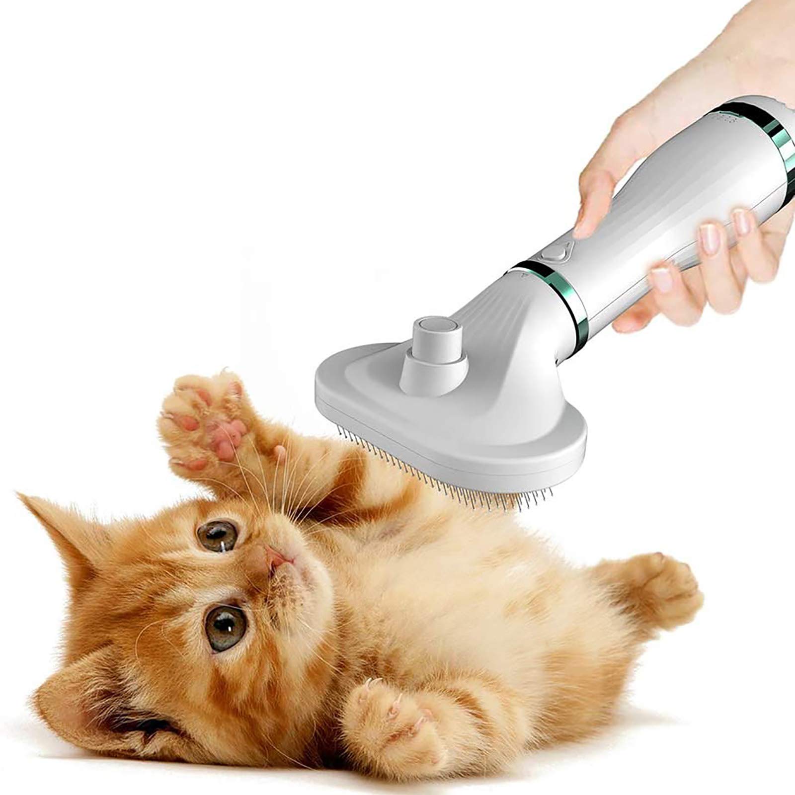 Brosse de sèche-Cheveux pour Petits Chiens de Compagnie, épilation Portable 3 en 1 à Faible Bruit en Un clic, sèche-Cheveux pour Chien à température réglable