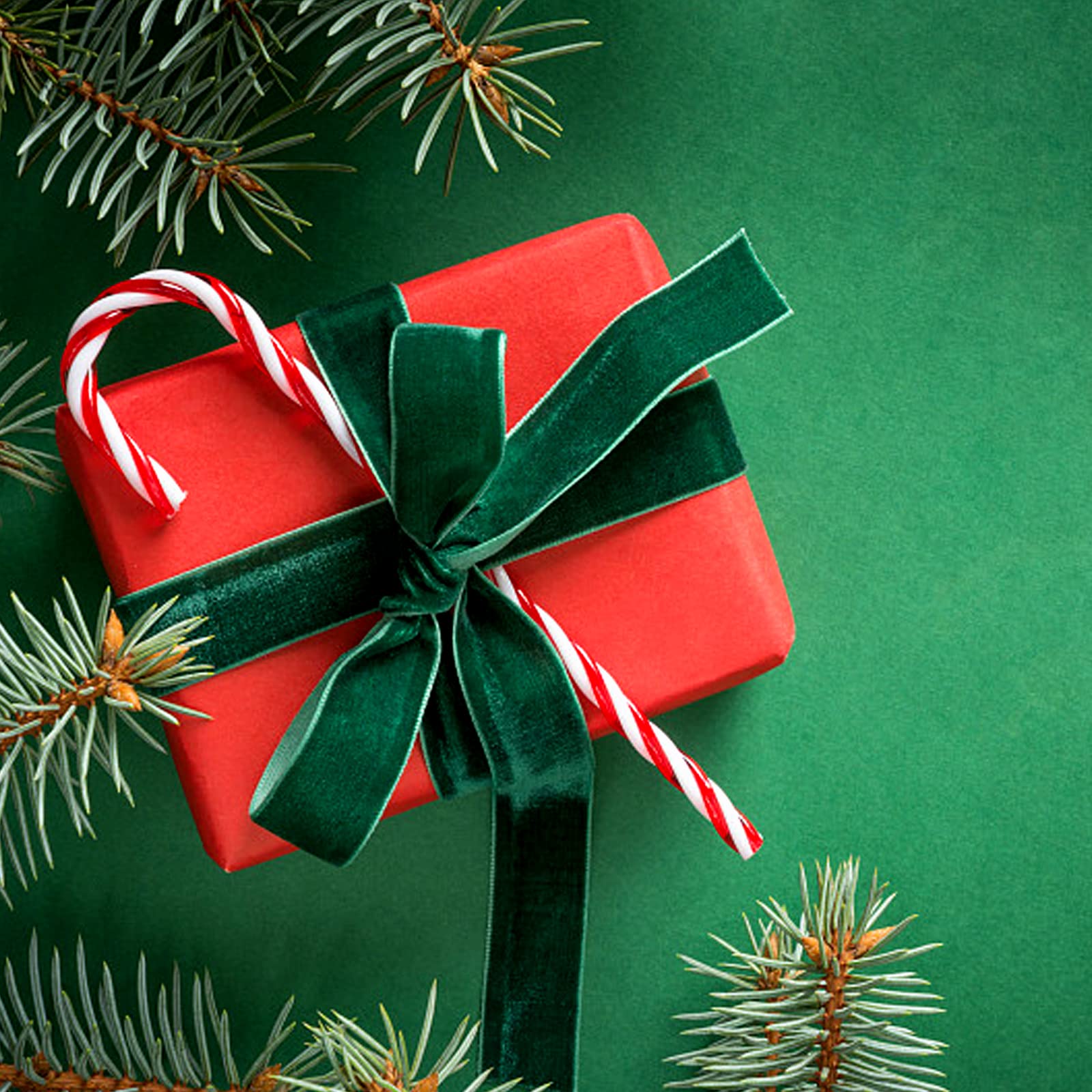 FATCAT Samtband Drak Grün - Geschenkband 2,5cm X 30 Yards Für Geschenkverpackung