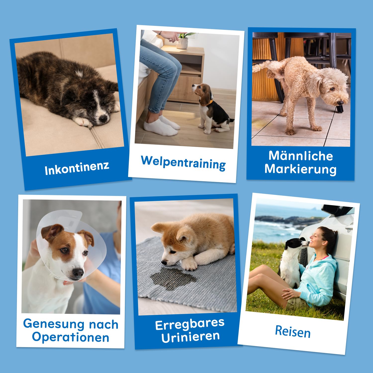 Dono Hundewindeln für rüden,40 Stück,rüdenwindel,Windeln fur rüden Hunde,rüdenbinde,super saugfähig, Welpenwindeln, Bauchbänder für Hundemarkierung, aufregendes Urinieren, Training