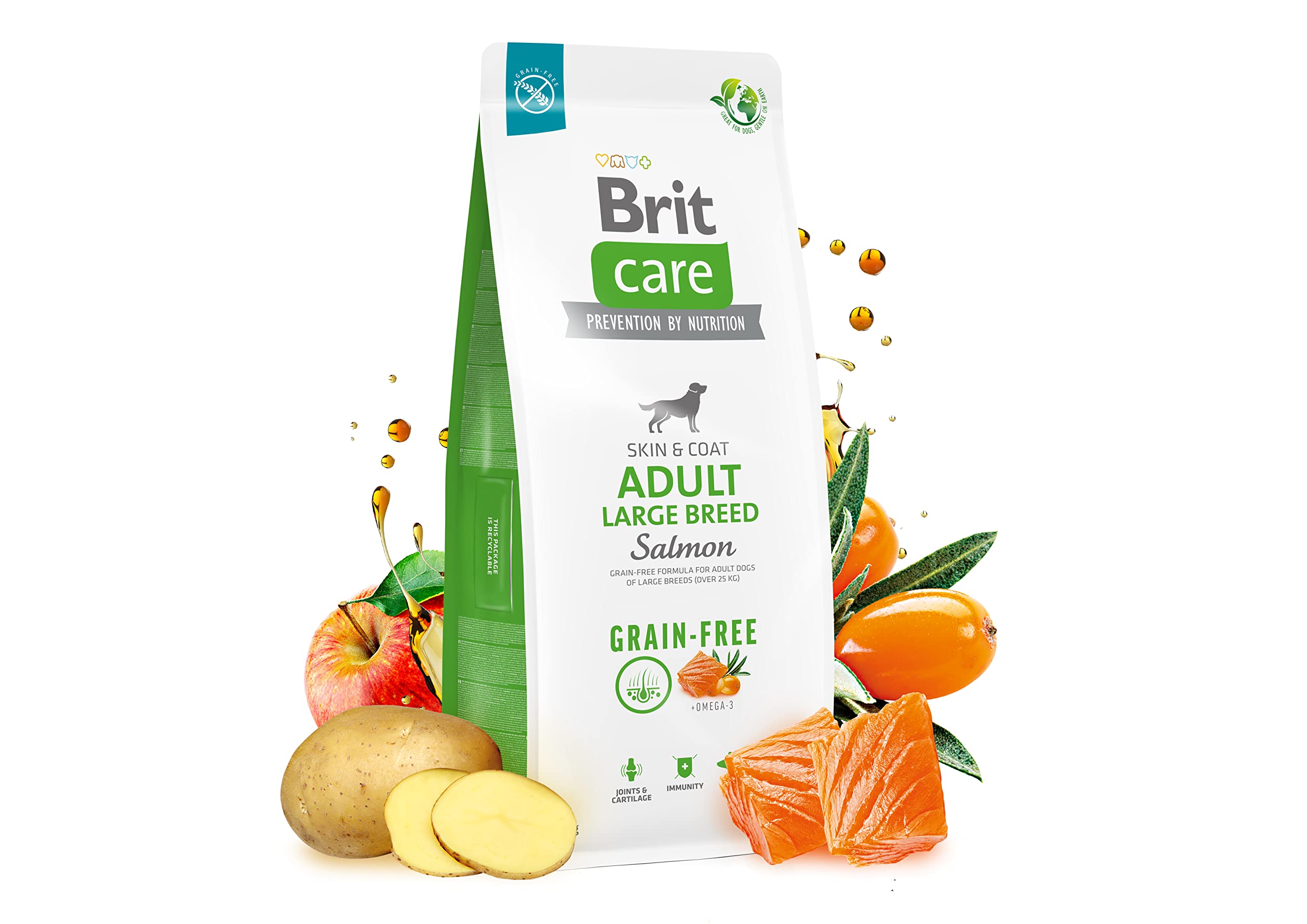 Brit Pienso seco para Perros Adultos de Razas Grandes, sin Cereales, salmón Adulto, 3 kg